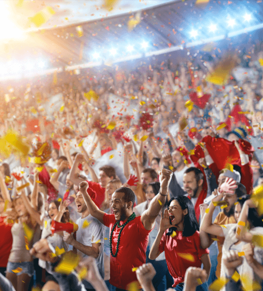 Crowd cheering at stadium event